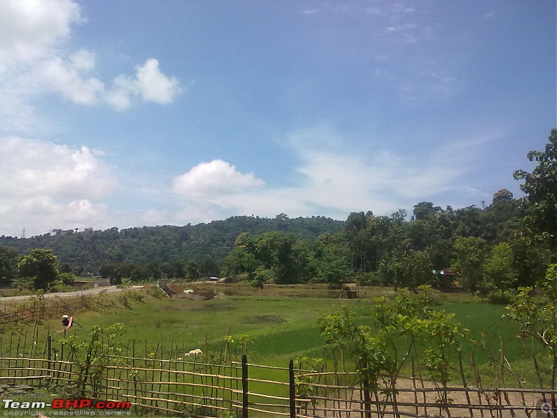 Guwahati getaways: Pobitora-san431.jpg