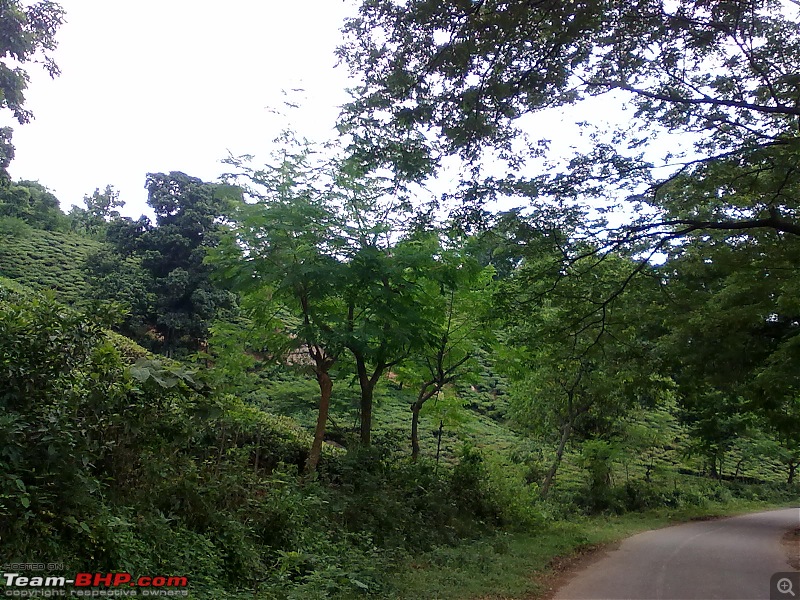 Guwahati getaways: Pobitora-san534.jpg