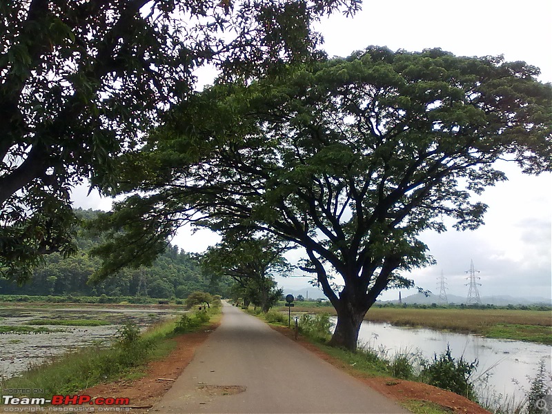 Guwahati getaways: Pobitora-san544.jpg