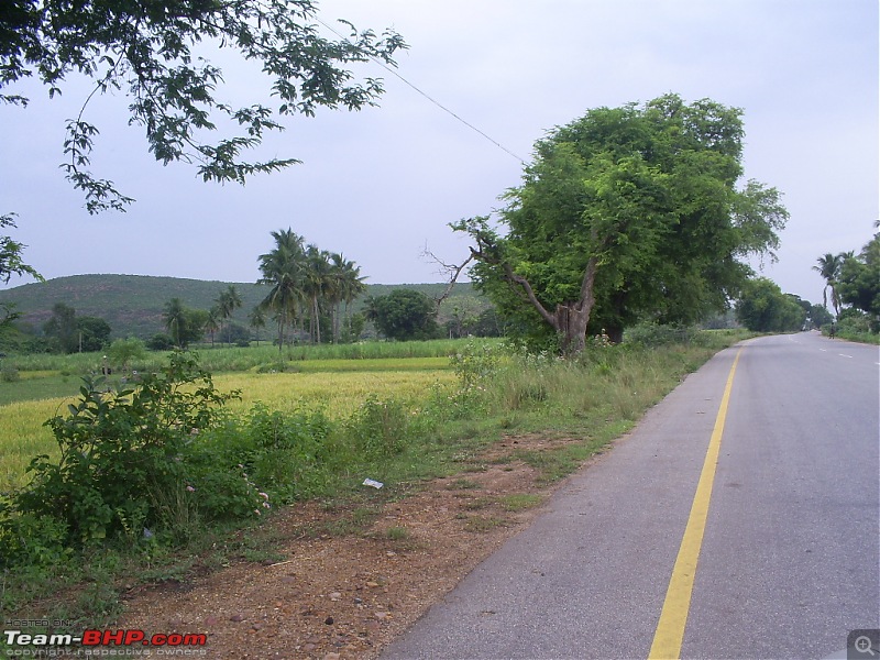 A drive through Horseley Hills, Kone Falls and Red Hills.-horseleyhills-082.jpg