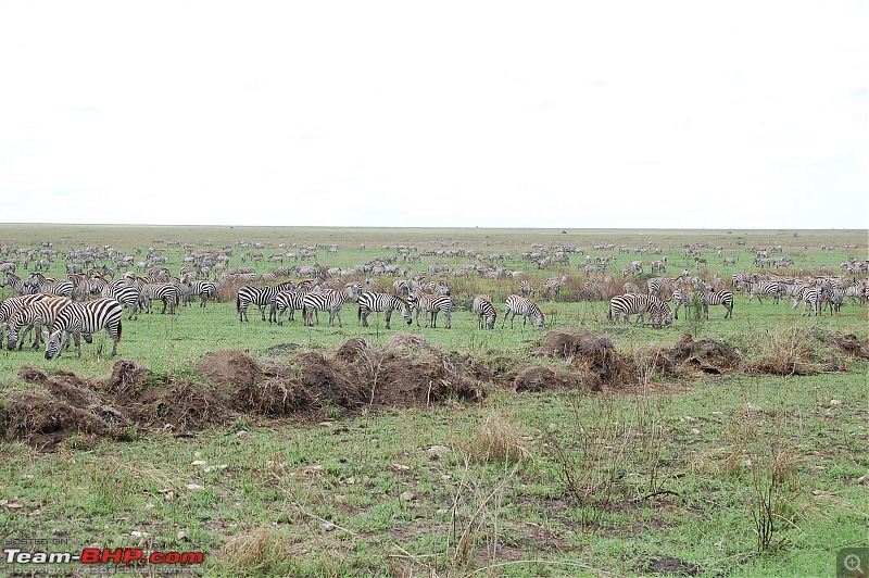 Africa - Endless Plains-413.jpg