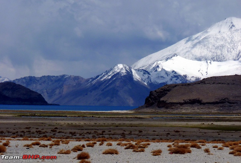 Ladakh and Changthang : The Wilderness Chronicles-906321701_bb9uvl.jpg