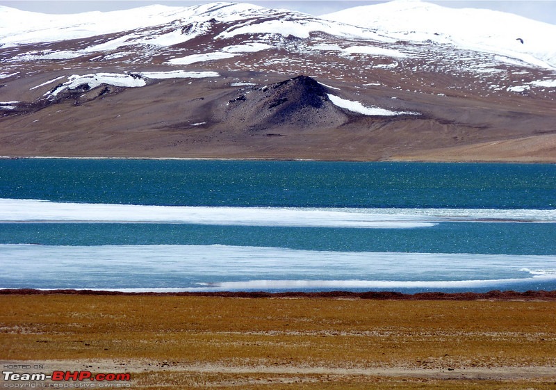 Ladakh and Changthang : The Wilderness Chronicles-907624526_fvtgyl.jpg