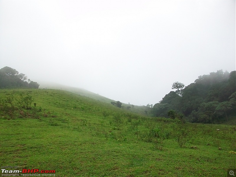 Our Coorg Sojourn-picture-164.jpg