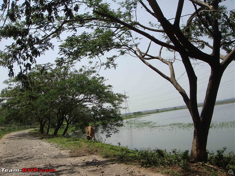 Guwahati getaways: Chandubi Lake-5.jpg