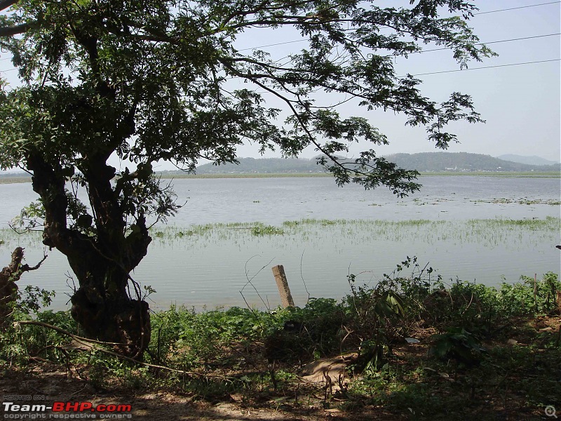 Guwahati getaways: Chandubi Lake-6.jpg