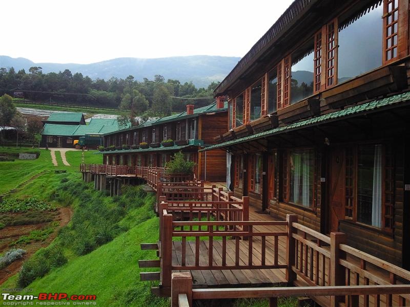 Green Grass Blue Sky in this beautiful world-viewfromroom-medium.jpg