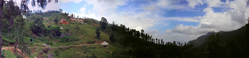 Green Grass Blue Sky in this beautiful world-3.jpg