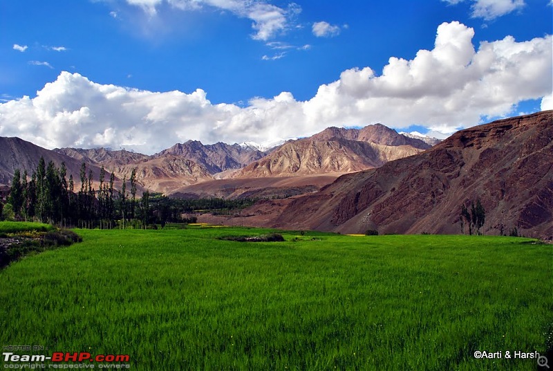 4500 km, Two Idiots & a Wild Safari in Ladakh-140_at-alchi.jpg