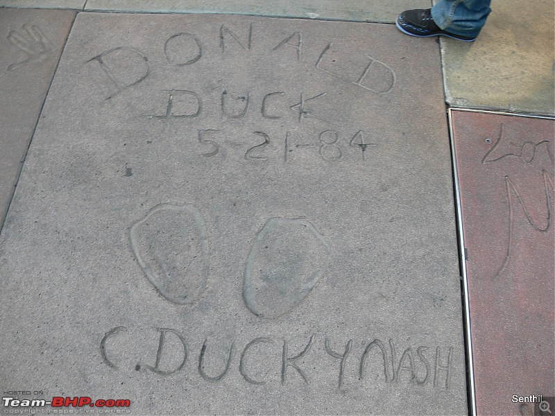 A Whirlwind tour of some parts of the USA-donald-duck.jpg