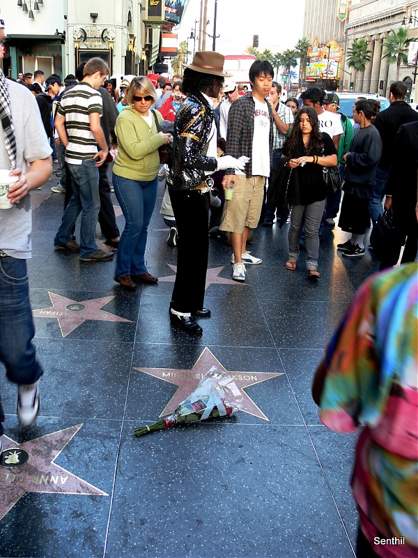 A Whirlwind tour of some parts of the USA-mj-star-walk.jpg