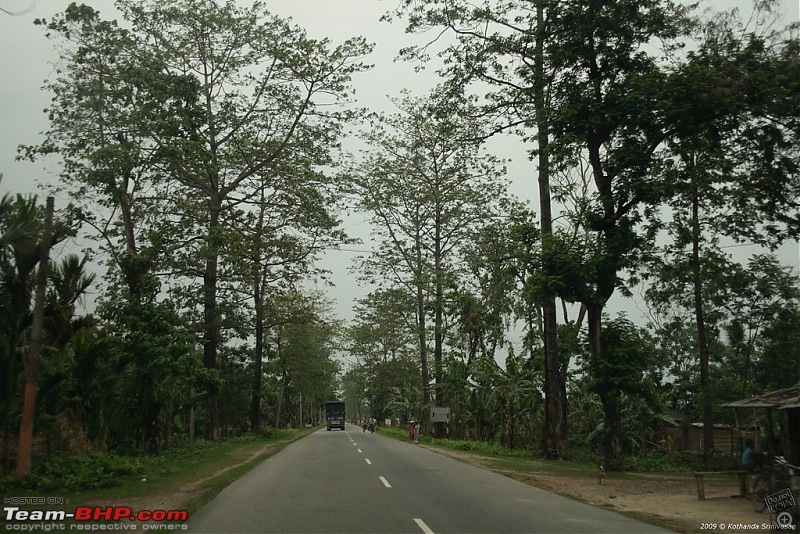 Guwahati to Burma: Stillwell Road - Pangsau Pass-3492426941_28d5457cdb_b.jpg