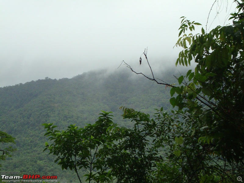 Mangalore -> Bangalore via Sakleshpur (Train)-8.jpg