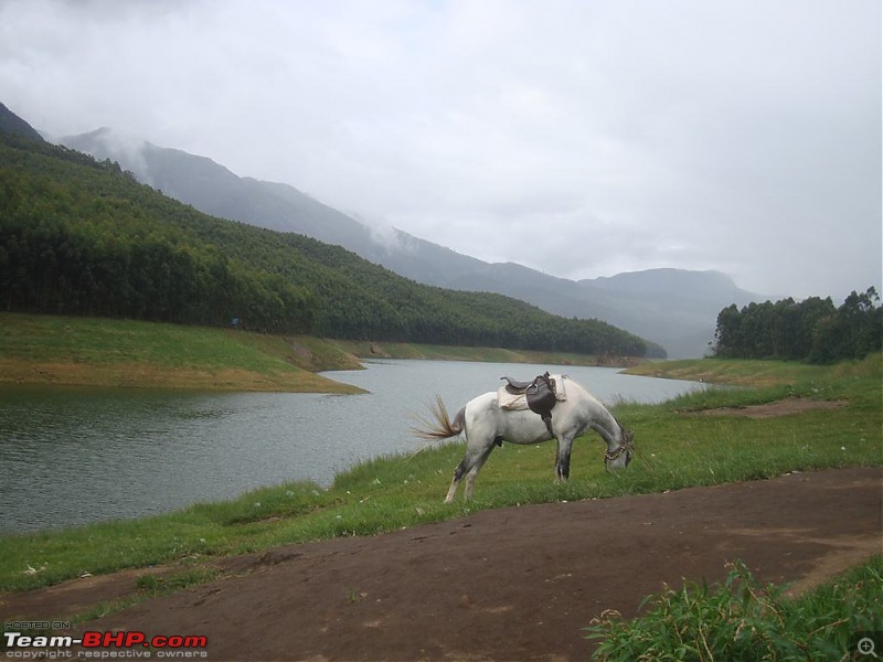 Photologue: Pristine Munnar-dsc05914.jpg