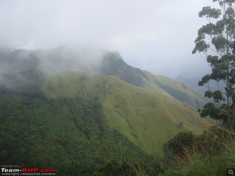 Photologue: Pristine Munnar-dsc05986.jpg