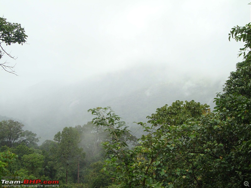 Mangalore -> Bangalore via Sakleshpur (Train)-20.jpg