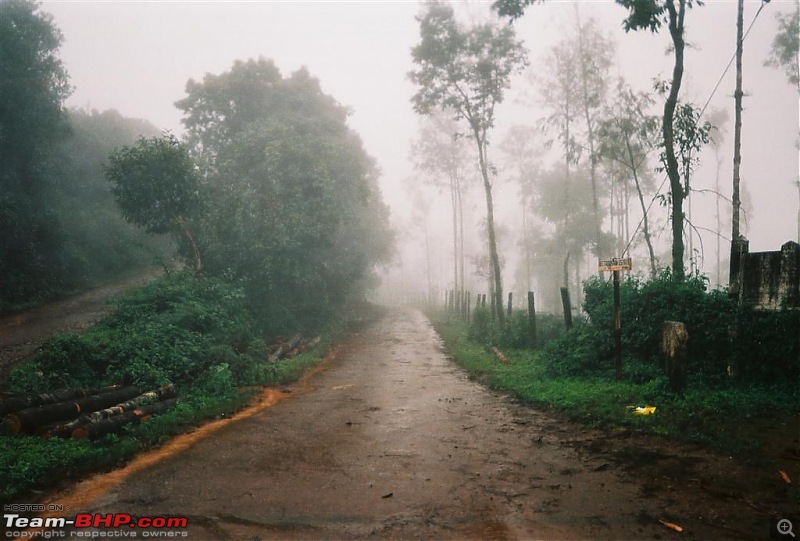 Finally, Chikmagalur is off my wannabe list! :-)-a14388_018a.jpg