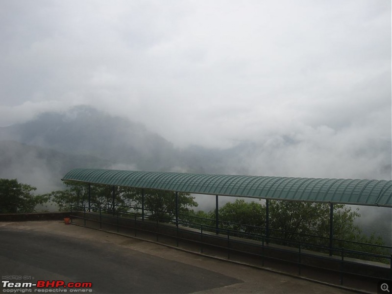 Photologue: Pristine Munnar-dsc06111.jpg