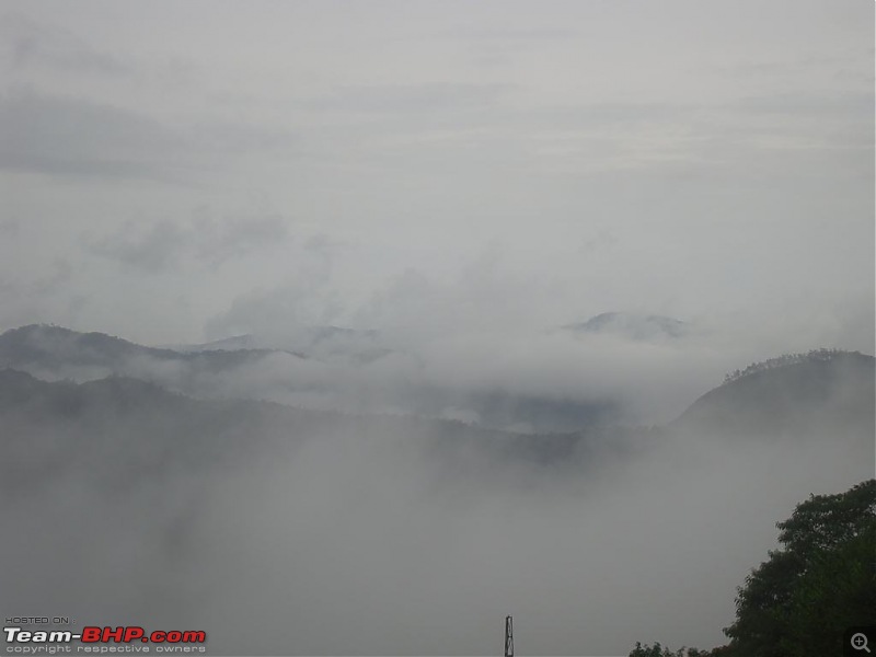 Photologue: Pristine Munnar-dsc06115.jpg