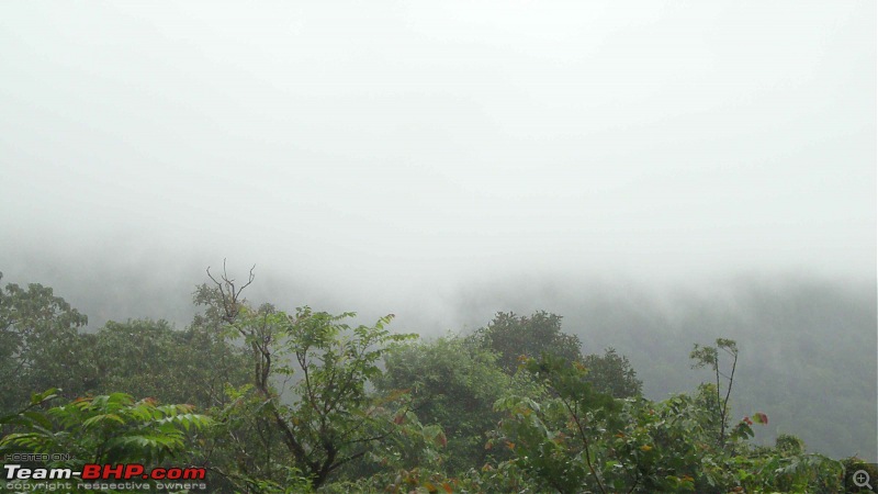 Mangalore -> Bangalore via Sakleshpur (Train)-38.jpg