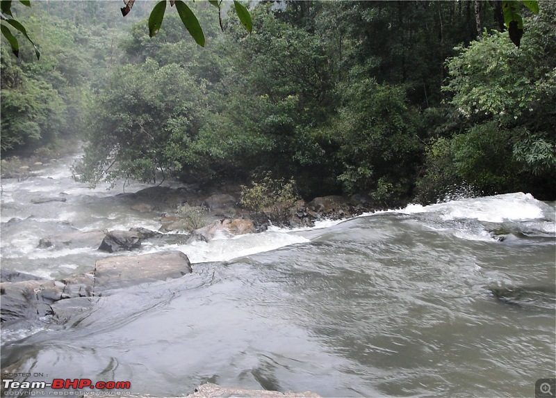 Unplanned weekend trips to Sringeri-Agumbe & Kaginahare-dsc04344.jpg