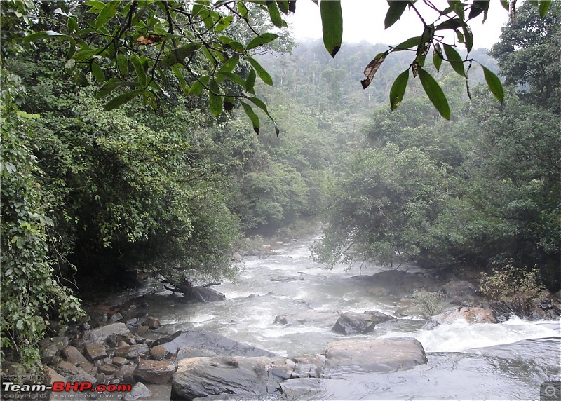 Unplanned weekend trips to Sringeri-Agumbe & Kaginahare-dsc04347.jpg