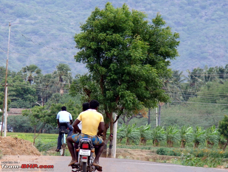 Rustic Tamilnadu - Shenkottai-Thenkasi-Kalladakurichi-Ambasamudram-Kalakkad-dsc06119.jpg