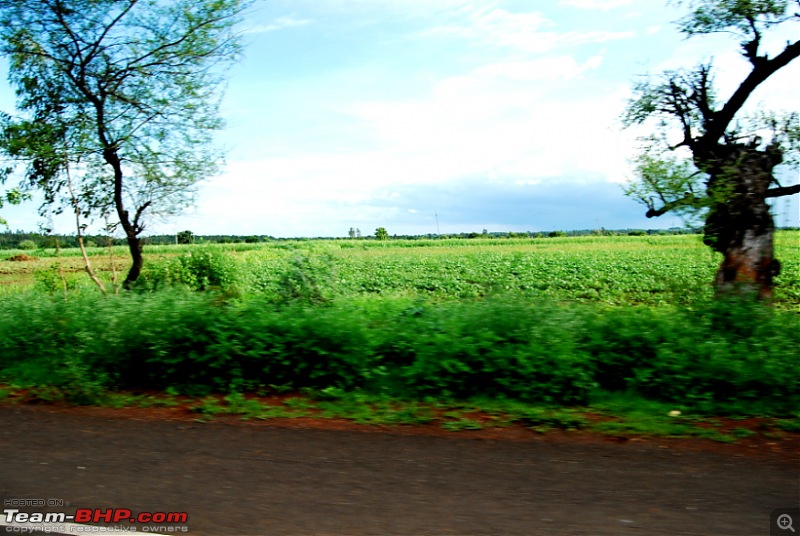 Mind-Blowing Monsoon Drive to Goa : August, 2008-dsc_2841.jpg