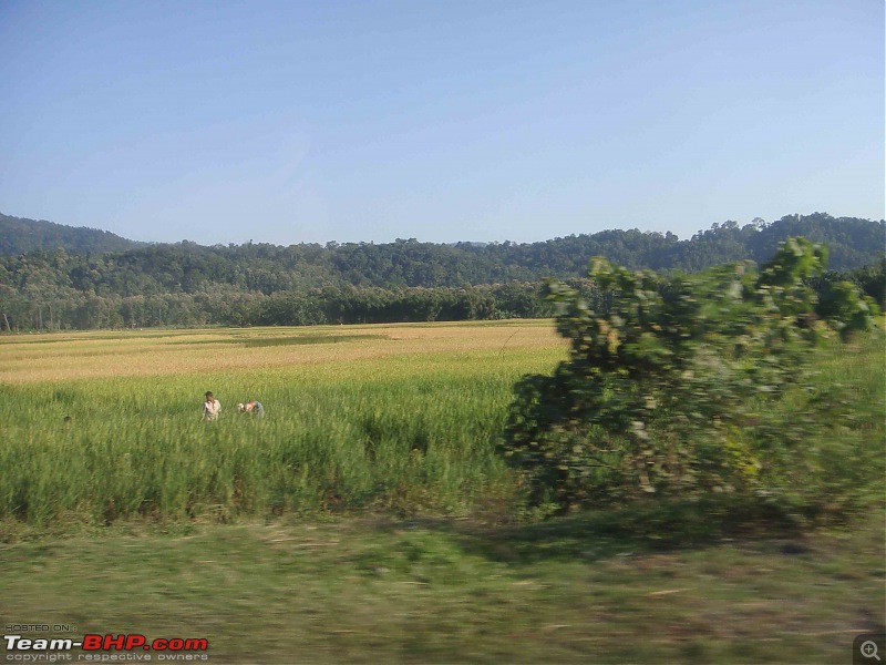 Guwahati getaways: A vanishing Kaziranga-dsc00227.jpg