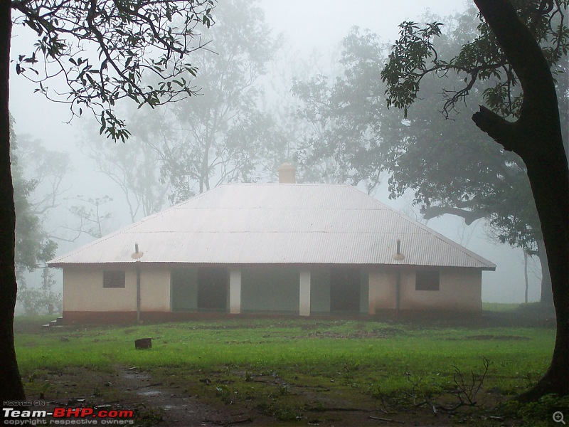 Heaven & Hell @ the same place.......  Melghat Tiger Reserve here I come-3757716716_14ba12c101_b.jpg