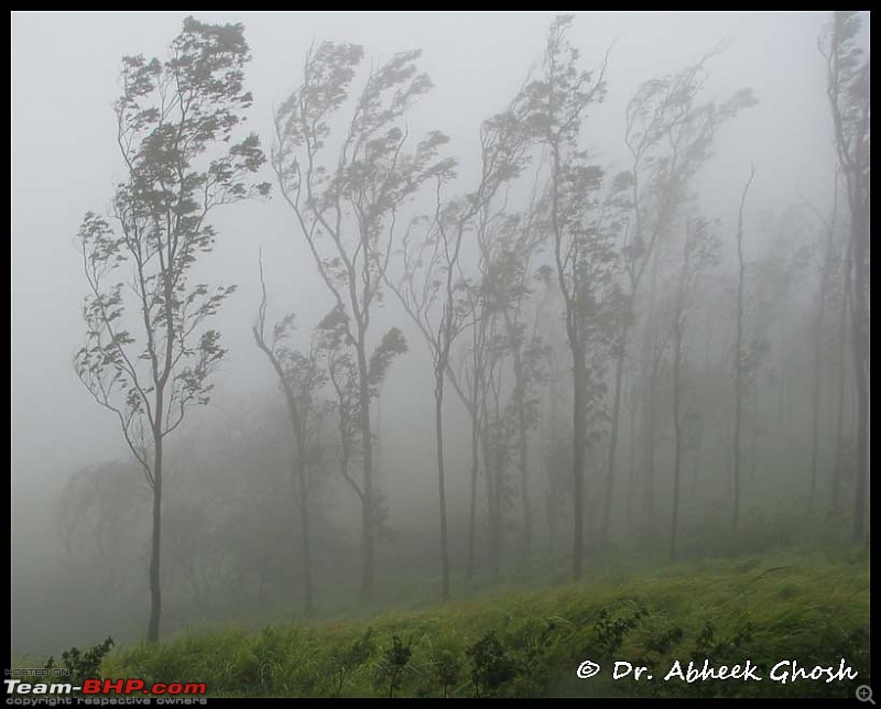 Heaven & Hell @ the same place.......  Melghat Tiger Reserve here I come-19535394144c6cf0e6f18be-copy.jpg