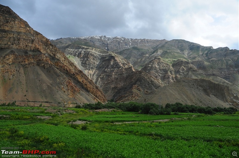 Rohtang Didn't Let me Pass; Spiti & Chandratal It Was!-_drd9109.jpg