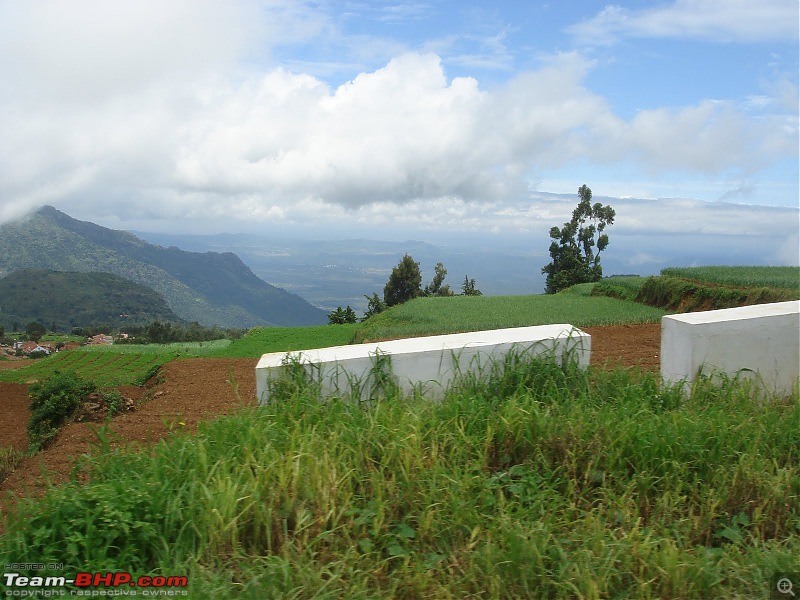 Queen of the hills : Bangalore to Ooty.-picture-121.jpg