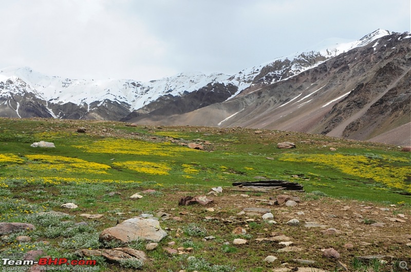 Rohtang Didn't Let me Pass; Spiti & Chandratal It Was!-_drd9162.jpg