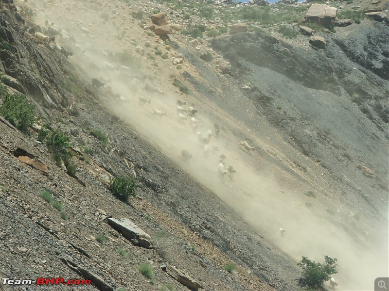 Rohtang Didn't Let me Pass; Spiti & Chandratal It Was!-0039.jpg