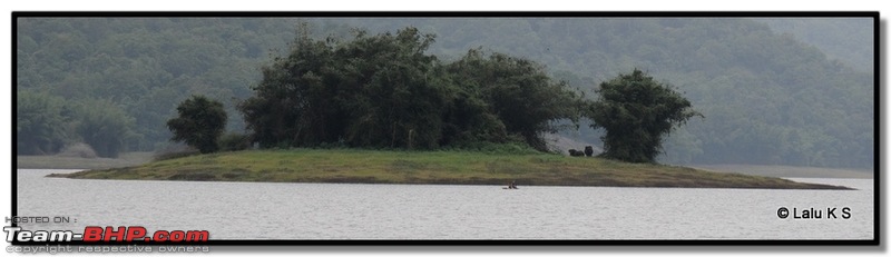 Civved : Parambikulam, Gavi, Vagamon via Thekkady & Valparai-dsc_1408.jpg