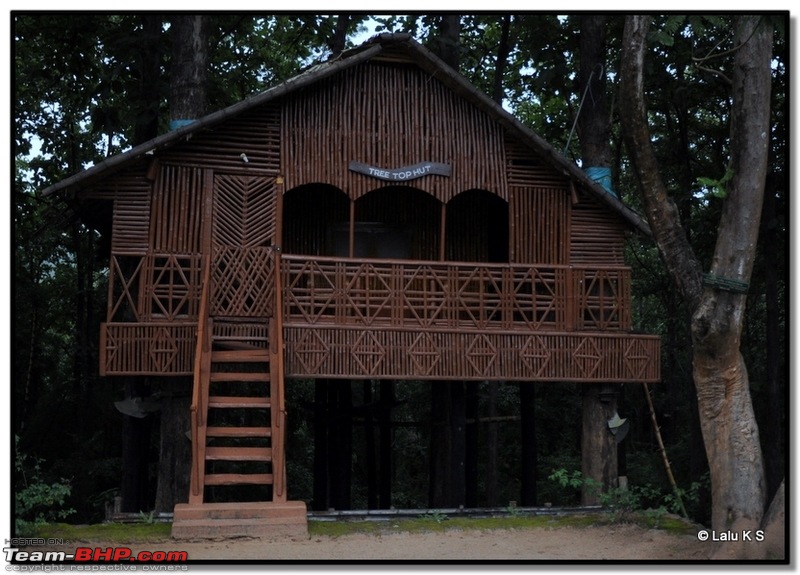 Civved : Parambikulam, Gavi, Vagamon via Thekkady & Valparai-dsc_1498.jpg