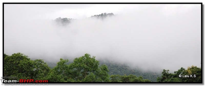 Civved : Parambikulam, Gavi, Vagamon via Thekkady & Valparai-dsc_1589.jpg