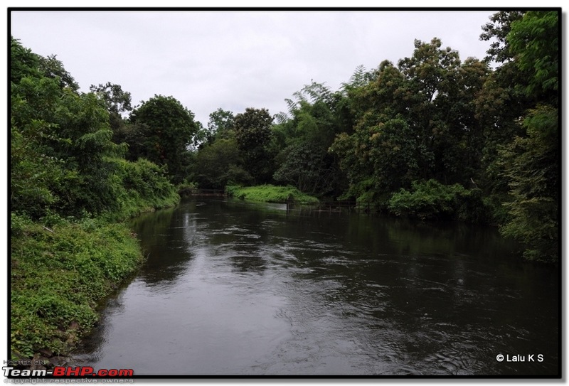 Civved : Parambikulam, Gavi, Vagamon via Thekkady & Valparai-dsc_1691.jpg