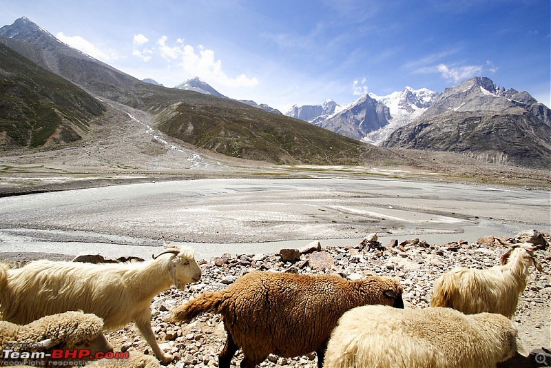 The lake of the moon and the Spiti Sprint!-996327582_akgsmxl.jpg