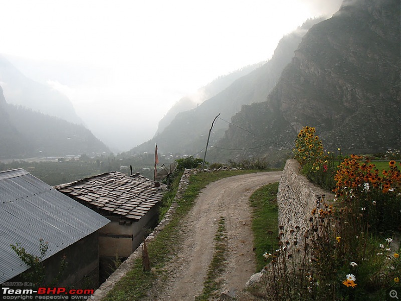 Back to Sangla-26.jpg