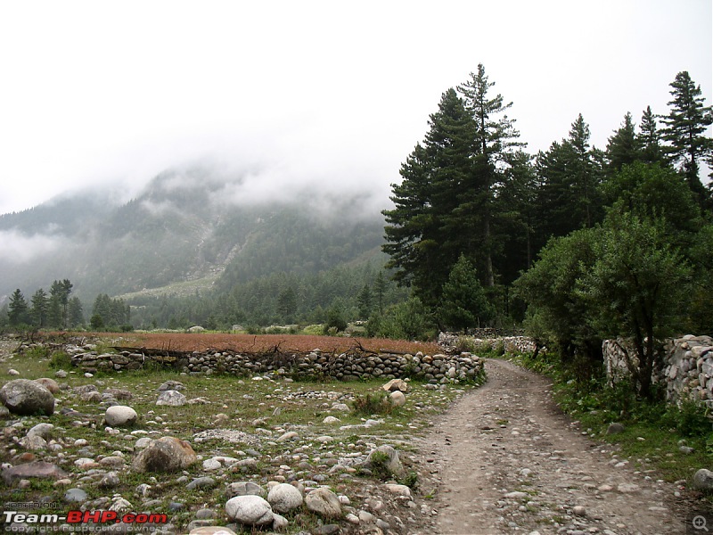 Back to Sangla-128a.jpg