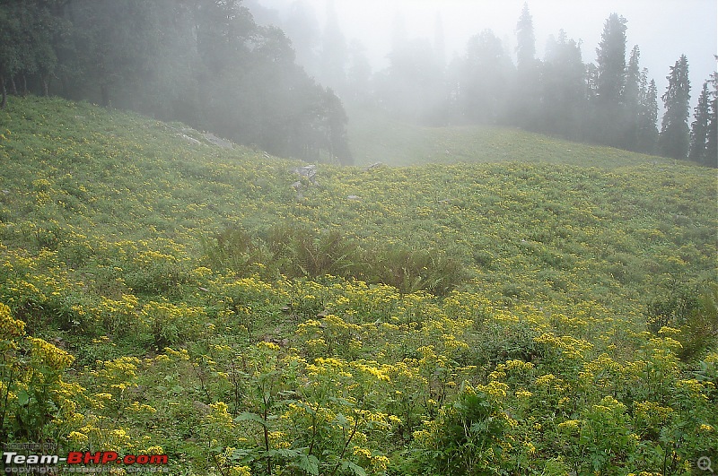 Back to Sangla-182a.jpg