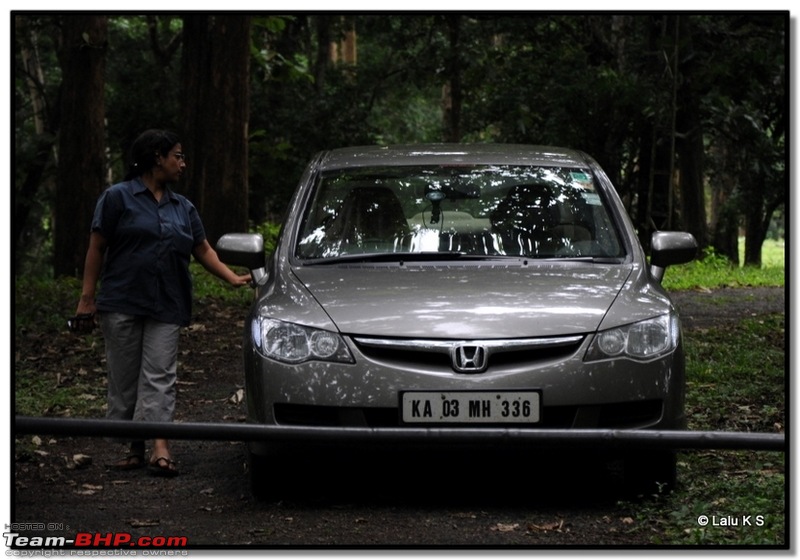 Civved : Parambikulam, Gavi, Vagamon via Thekkady & Valparai-dsc_2305.jpg