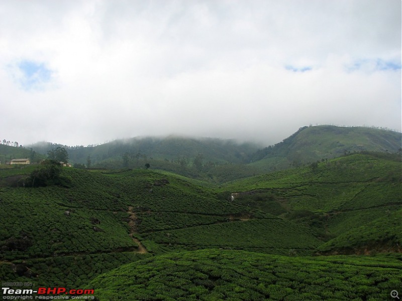 Munnar! The heaven on this earth. A lover's paradise-img_1214.jpg