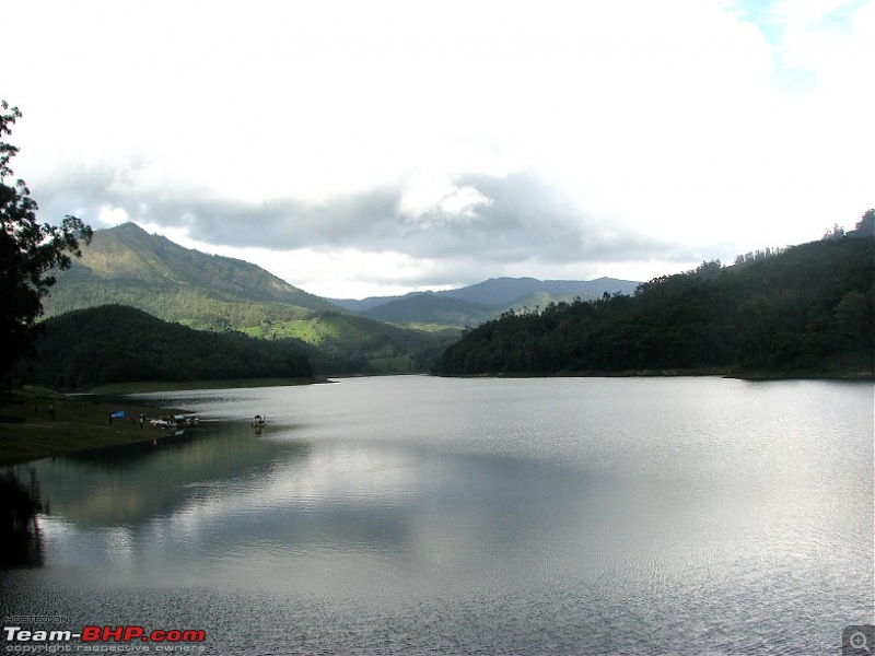 Munnar! The heaven on this earth. A lover's paradise-img_1253.jpg