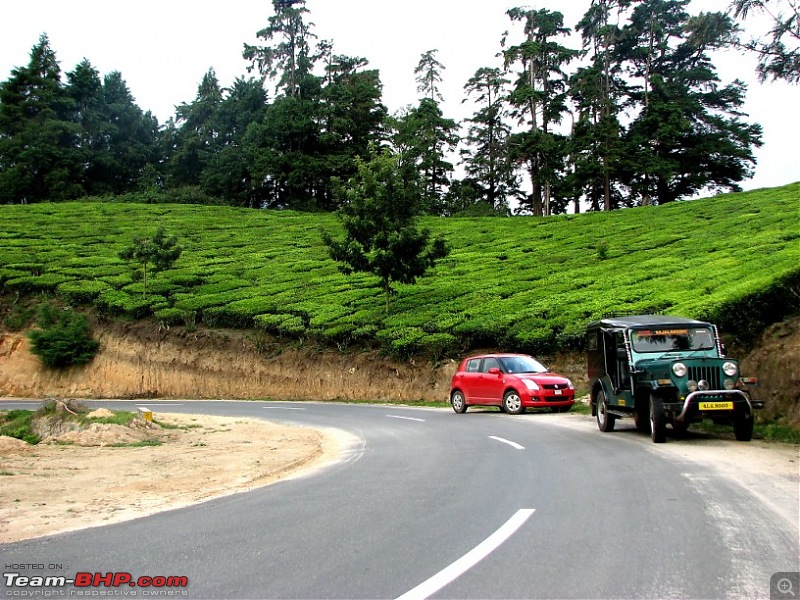 Munnar! The heaven on this earth. A lover's paradise-img_1266.jpg