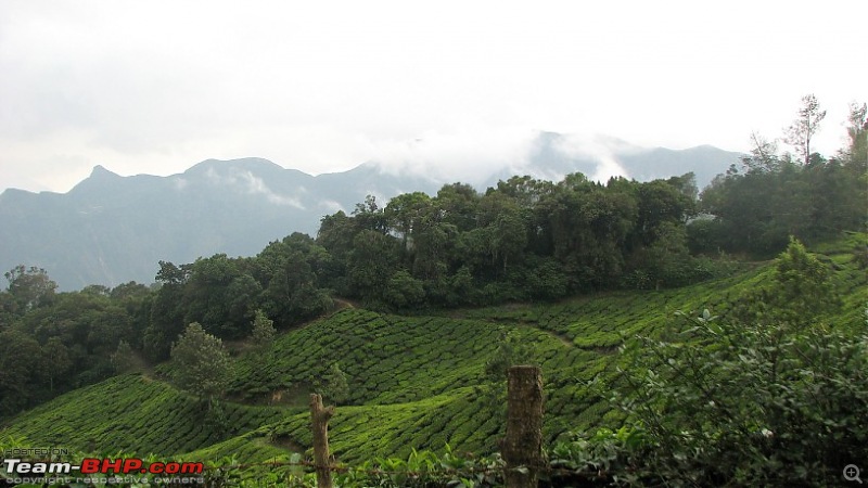 Munnar! The heaven on this earth. A lover's paradise-img_1279.jpg