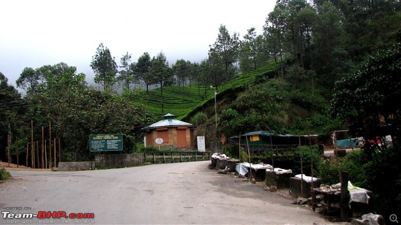 Munnar! The heaven on this earth. A lover's paradise-img_1326.jpg