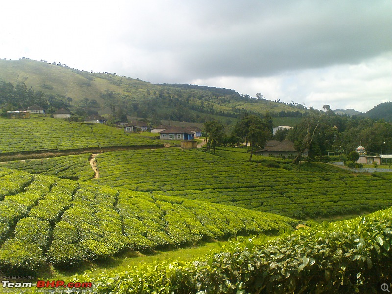 Meghamalai - A Would be Hill Station in TN-dsc00043.jpg